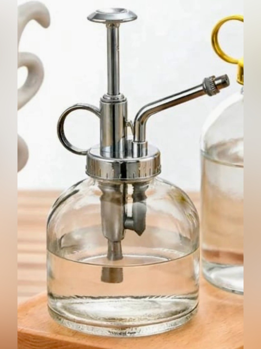 Glass Plant Mister with Silver Pump Top